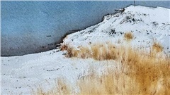 渔父节气｜立冬：天地闭藏，万物归一，柔不失其力，藏自有其机