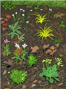 渔父节气｜惊蛰：当雷声落在时代之上，动处见生机，静中见根本