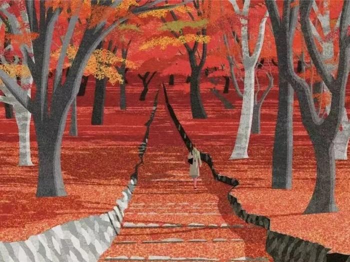 霜降｜以节为骨，以花为心；在寒中藏光，于静处见暖