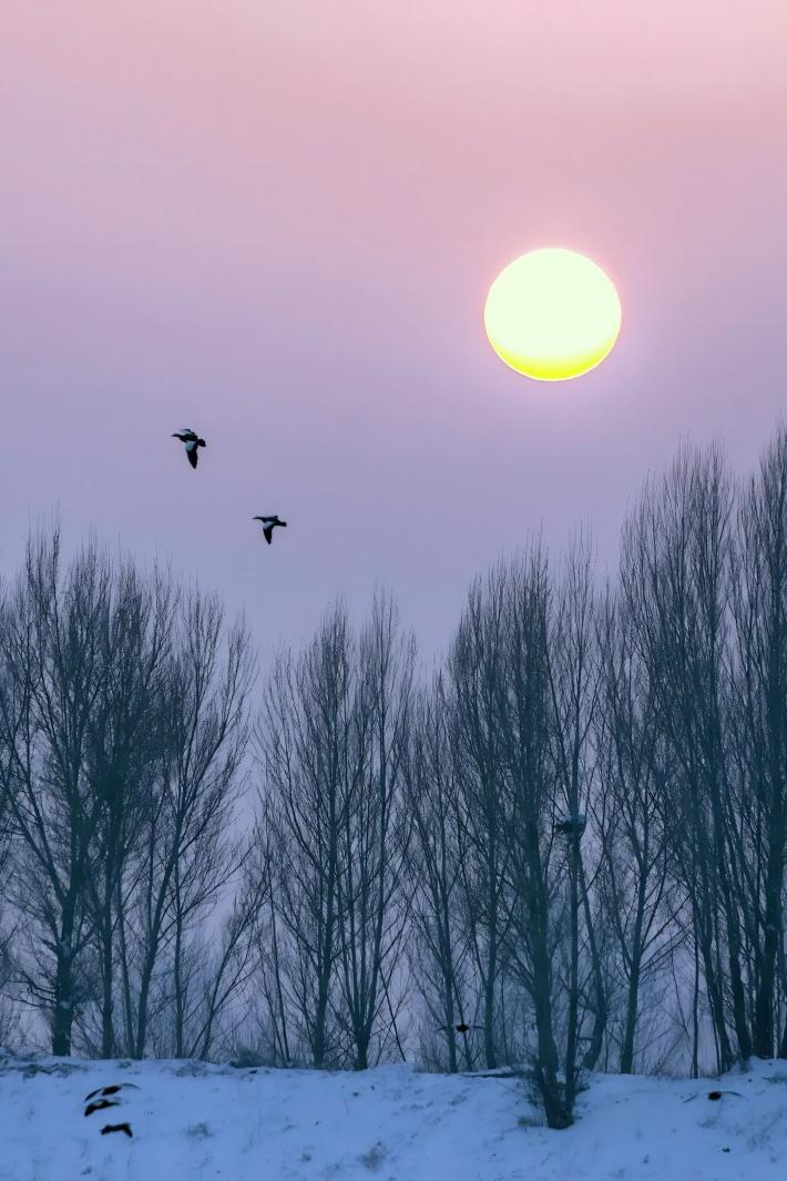 渔父节气｜大寒：岁暮草木，各得其位——在造化起伏中照看好自己