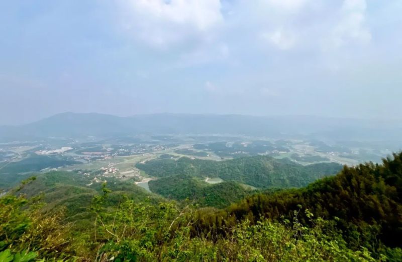 采药记｜渔父国医馆药房小哥哥探游鹅形山